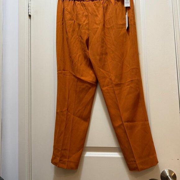 Aritizia (Babaton)Conan Ankle Pants - Picture 2 of 4